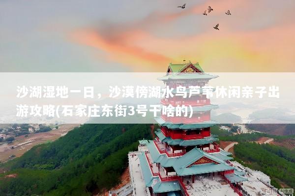 沙湖湿地一日，沙漠傍湖水鸟芦苇休闲亲子出游攻略(石家庄东街3号干啥的)