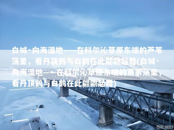 白城·向海湿地——在科尔沁草原东端的芦苇荡里，看丹顶鹤与白鹤在此翩翩起舞(白城·向海湿地——在科尔沁草原东端的芦苇荡里，看丹顶鹤与白鹤在此翩翩起舞)