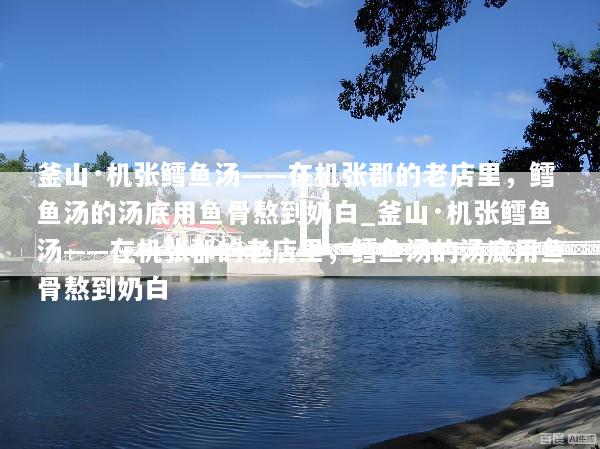 釜山·机张鳕鱼汤——在机张郡的老店里，鳕鱼汤的汤底用鱼骨熬到奶白_釜山·机张鳕鱼汤——在机张郡的老店里，鳕鱼汤的汤底用鱼骨熬到奶白