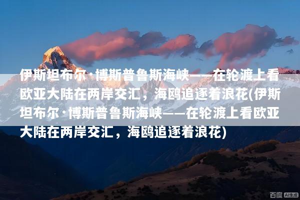 伊斯坦布尔·博斯普鲁斯海峡——在轮渡上看欧亚大陆在两岸交汇，海鸥追逐着浪花(伊斯坦布尔·博斯普鲁斯海峡——在轮渡上看欧亚大陆在两岸交汇，海鸥追逐着浪花)