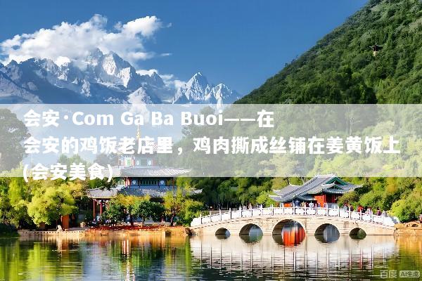 会安·Com Ga Ba Buoi——在会安的鸡饭老店里，鸡肉撕成丝铺在姜黄饭上(会安美食)