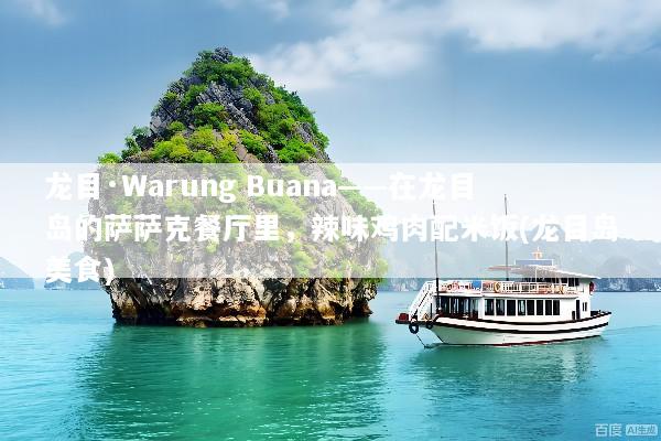 龙目·Warung Buana——在龙目岛的萨萨克餐厅里，辣味鸡肉配米饭(龙目岛美食)