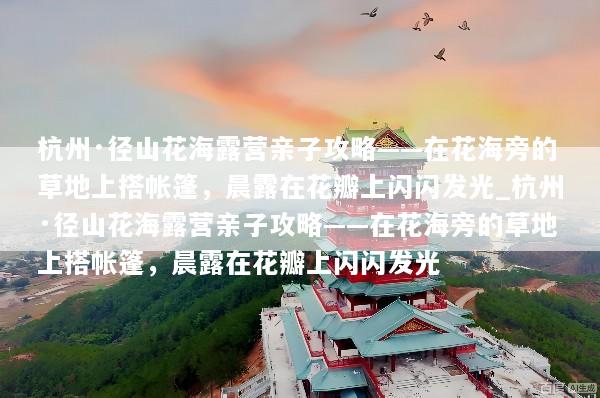 杭州·径山花海露营亲子攻略——在花海旁的草地上搭帐篷，晨露在花瓣上闪闪发光_杭州·径山花海露营亲子攻略——在花海旁的草地上搭帐篷，晨露在花瓣上闪闪发光