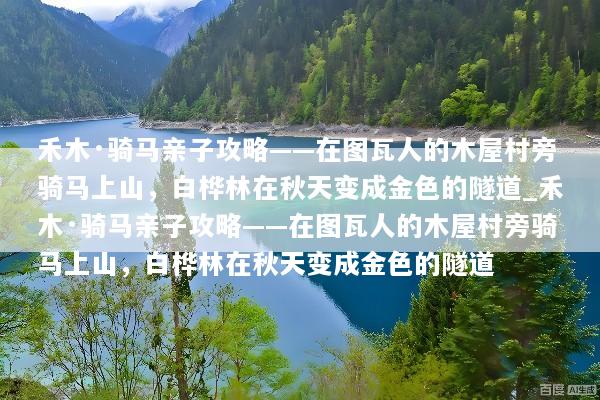 禾木·骑马亲子攻略——在图瓦人的木屋村旁骑马上山，白桦林在秋天变成金色的隧道_禾木·骑马亲子攻略——在图瓦人的木屋村旁骑马上山，白桦林在秋天变成金色的隧道