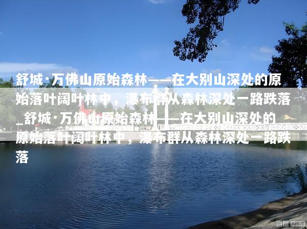 舒城·万佛山原始森林——在大别山深处的原始落叶阔叶林中，瀑布群从森林深处一路跌落_舒城·万佛山原始森林——在大别山深处的原始落叶阔叶林中，瀑布群从森林深处一路跌落