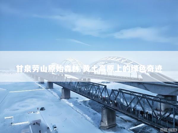 甘泉劳山原始森林 黄土高原上的绿色奇迹