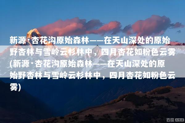 新源·杏花沟原始森林——在天山深处的原始野杏林与雪岭云杉林中，四月杏花如粉色云雾(新源·杏花沟原始森林——在天山深处的原始野杏林与雪岭云杉林中，四月杏花如粉色云雾)
