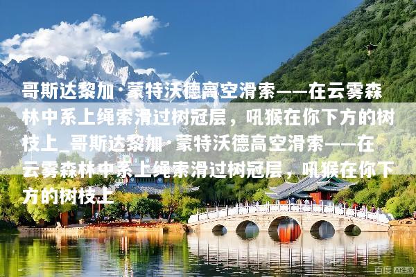 哥斯达黎加·蒙特沃德高空滑索——在云雾森林中系上绳索滑过树冠层，吼猴在你下方的树枝上_哥斯达黎加·蒙特沃德高空滑索——在云雾森林中系上绳索滑过树冠层，吼猴在你下方的树枝上