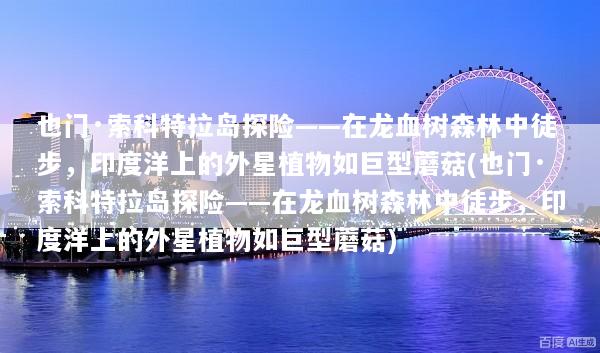 也门·索科特拉岛探险——在龙血树森林中徒步，印度洋上的外星植物如巨型蘑菇(也门·索科特拉岛探险——在龙血树森林中徒步，印度洋上的外星植物如巨型蘑菇)