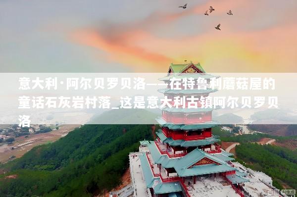 意大利·阿尔贝罗贝洛——在特鲁利蘑菇屋的童话石灰岩村落_这是意大利古镇阿尔贝罗贝洛