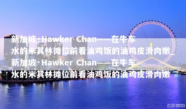 新加坡·Hawker Chan——在牛车水的米其林摊位前看油鸡饭的油鸡皮滑肉嫩_新加坡·Hawker Chan——在牛车水的米其林摊位前看油鸡饭的油鸡皮滑肉嫩