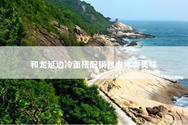 和龙延边冷面搭配锅包肉冰爽美味