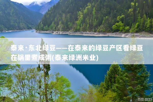 泰来·东北绿豆——在泰来的绿豆产区看绿豆在锅里煮成粥(泰来绿洲米业)