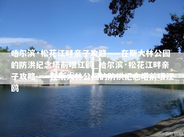 哈尔滨·松花江畔亲子攻略——在斯大林公园的防洪纪念塔前喂江鸥_哈尔滨·松花江畔亲子攻略——在斯大林公园的防洪纪念塔前喂江鸥