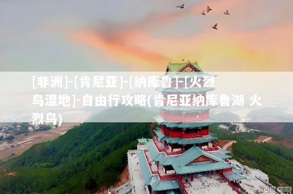 [非洲]-[肯尼亚]-[纳库鲁]-[火烈鸟湿地]-自由行攻略(肯尼亚纳库鲁湖 火烈鸟)