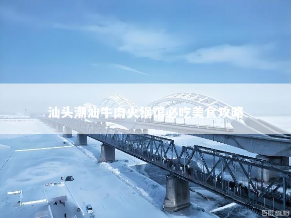 汕头潮汕牛肉火锅馆必吃美食攻略